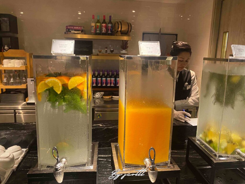 香港赤鱲角機場 環亞機場貴賓室（離境大堂，鄰近1號閘口）plaza premium lounge 免費